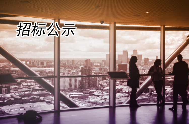 关于扬州市C-21B-17（原开放大学）地块及其房屋招租项目招标的流标说明（二次）